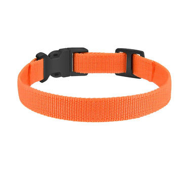 orange-nylon-collar