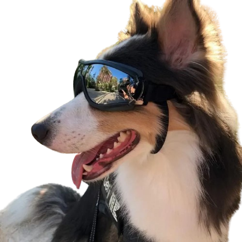 slider-image